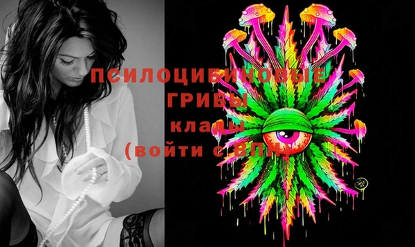 сатива Алзамай