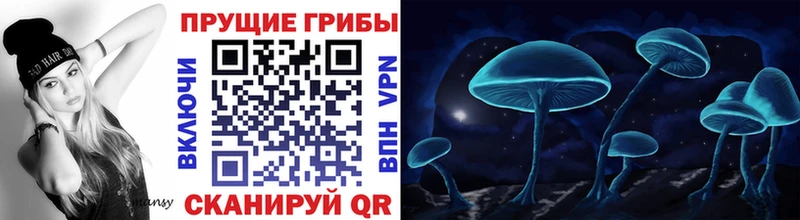 наркошоп  Усть-Илимск  Галлюциногенные грибы Cubensis 